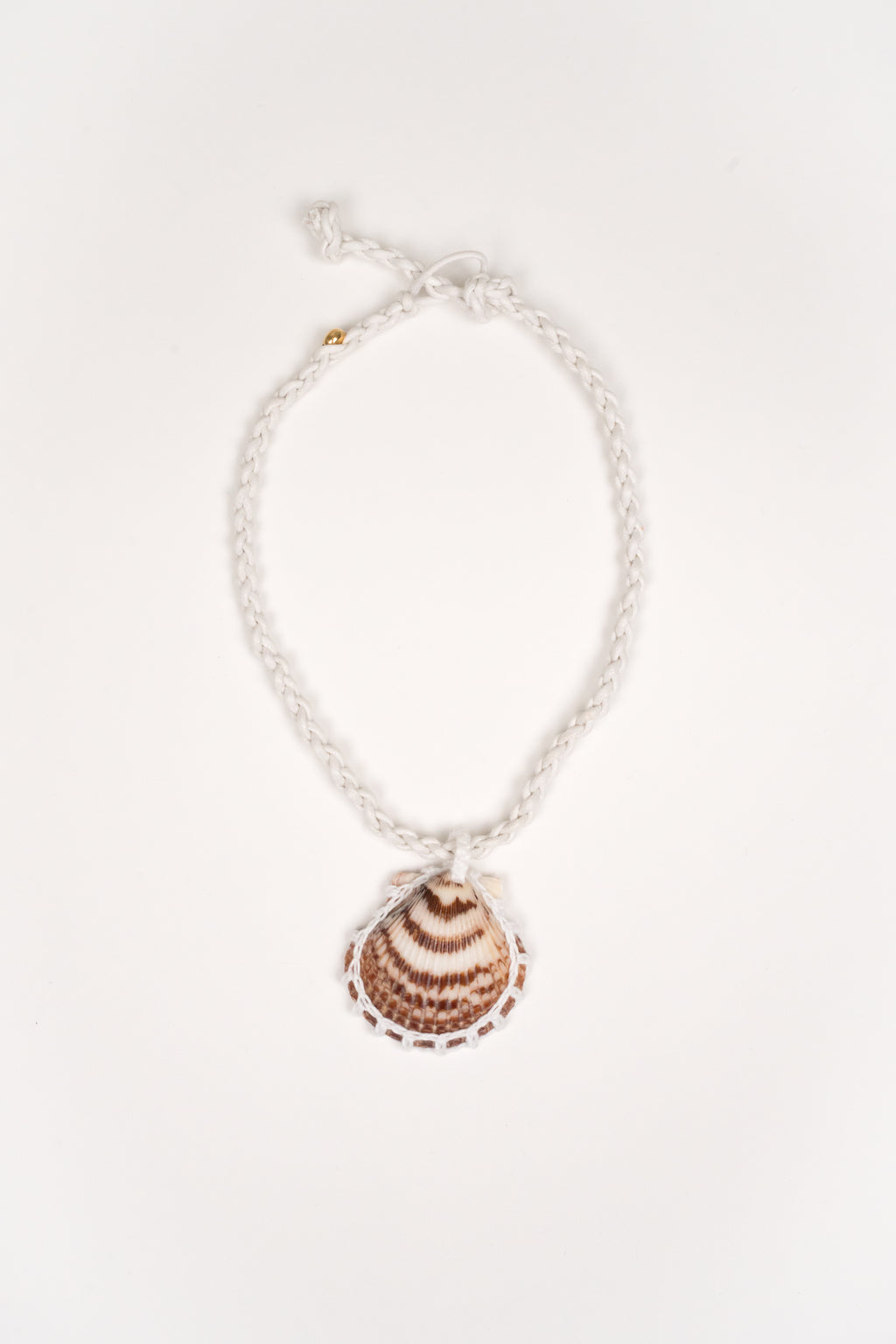 Collar Concha solitaria