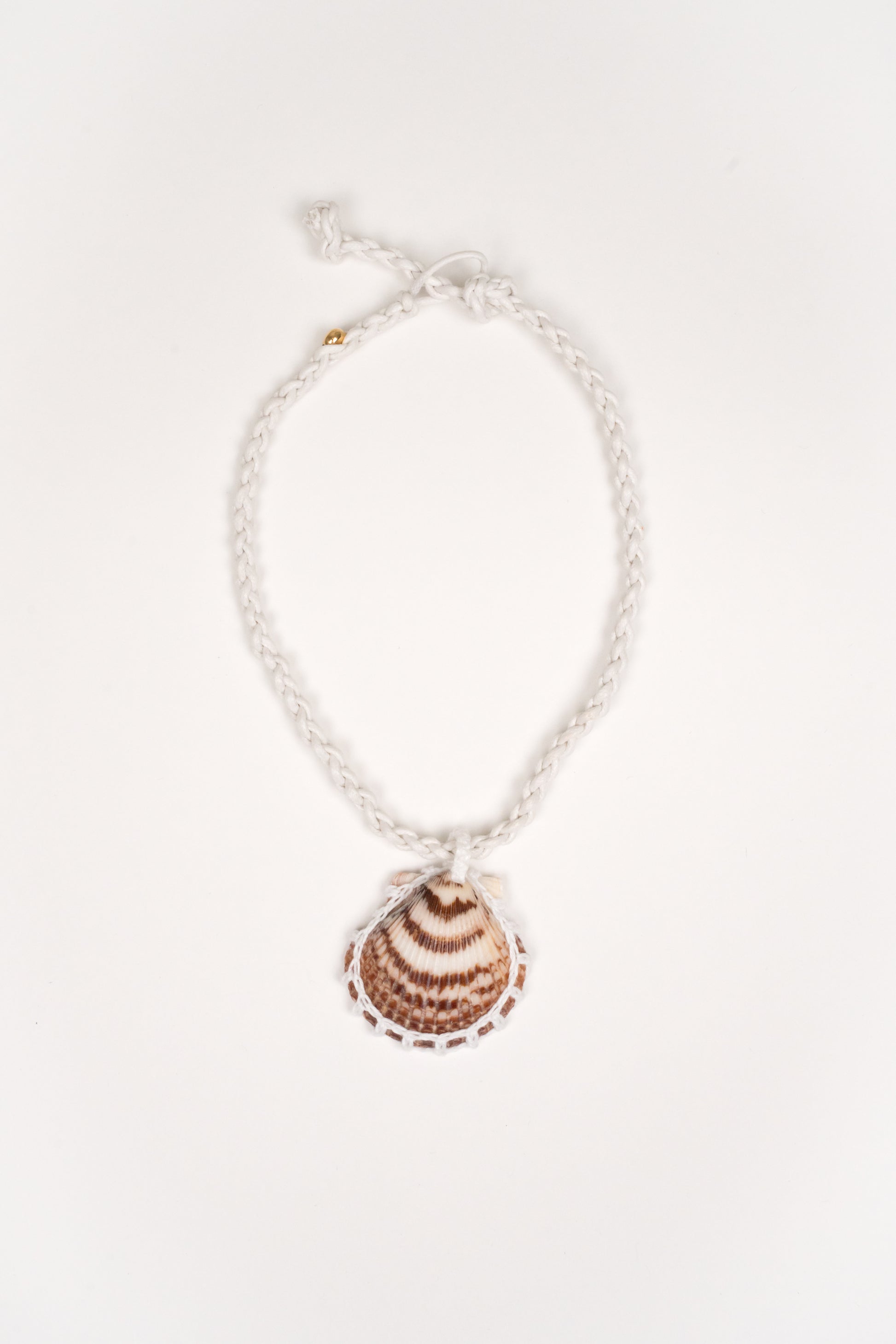 Collar Concha solitaria