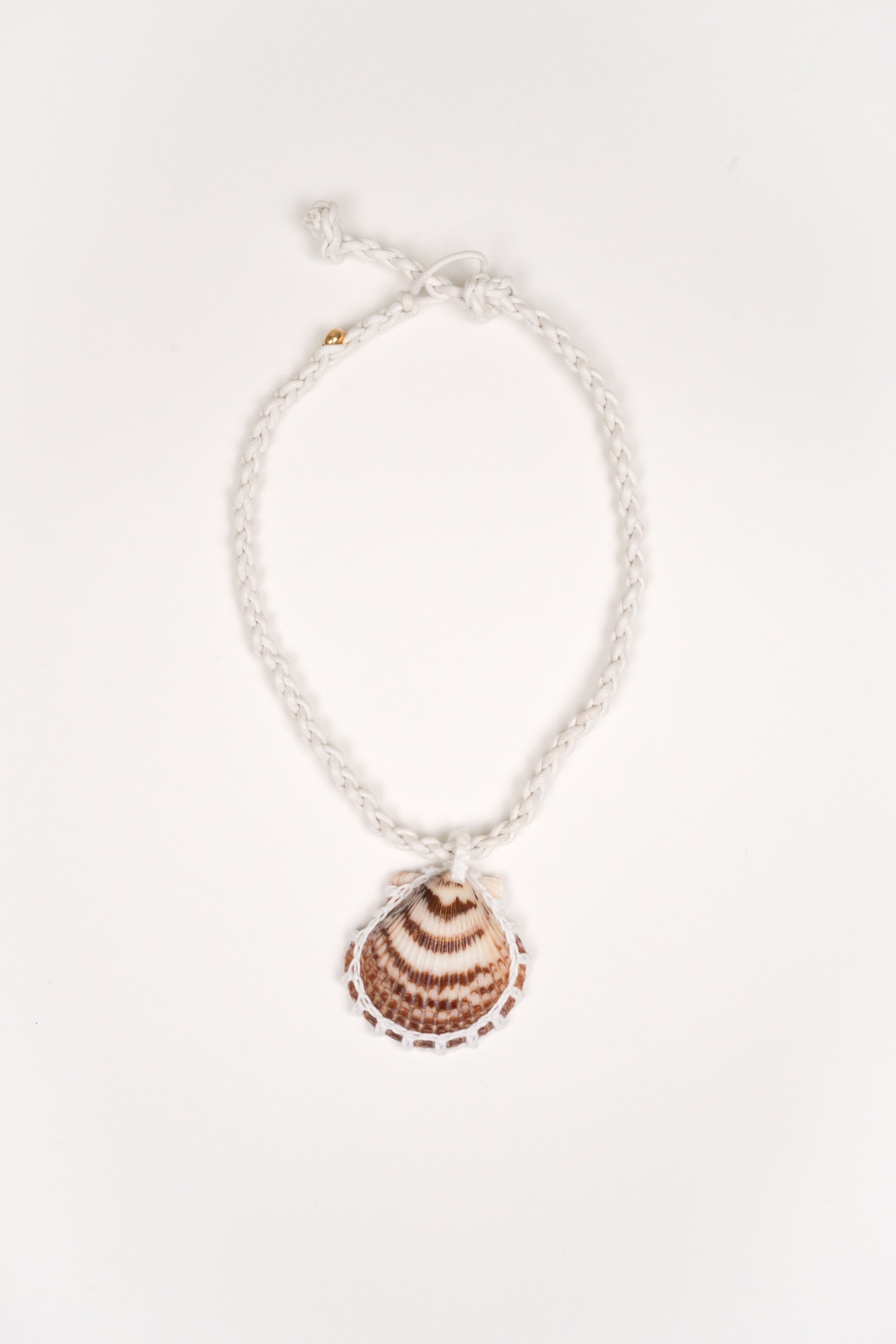 Collar Concha solitaria