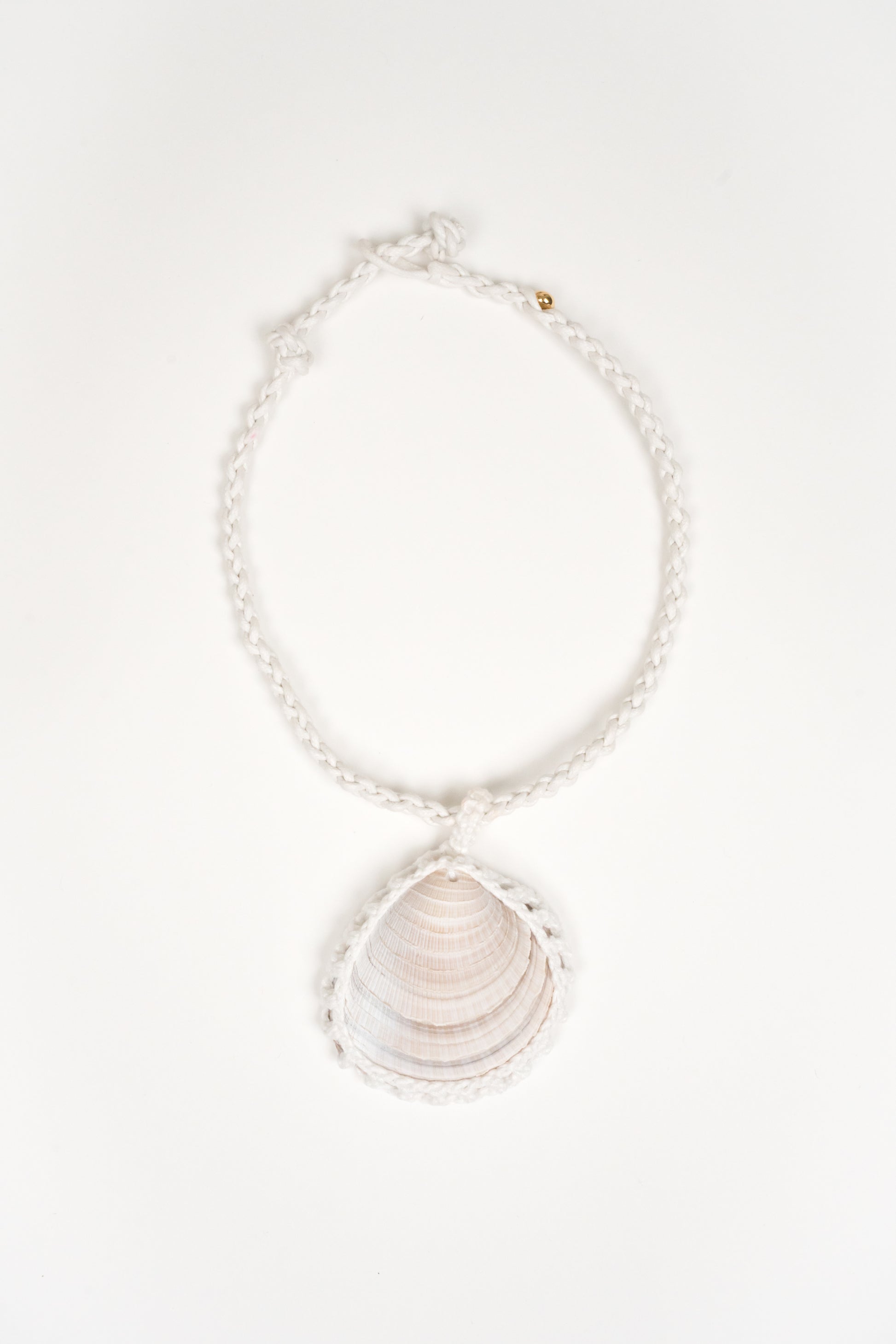 Collar Concha solitaria