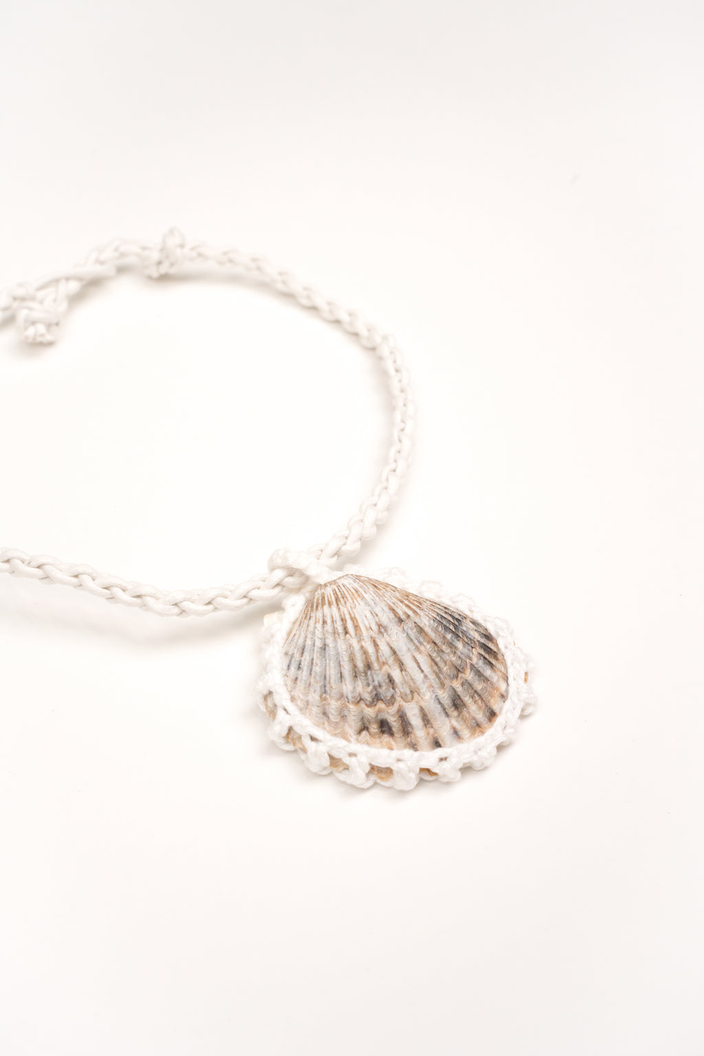 Collar Concha solitaria