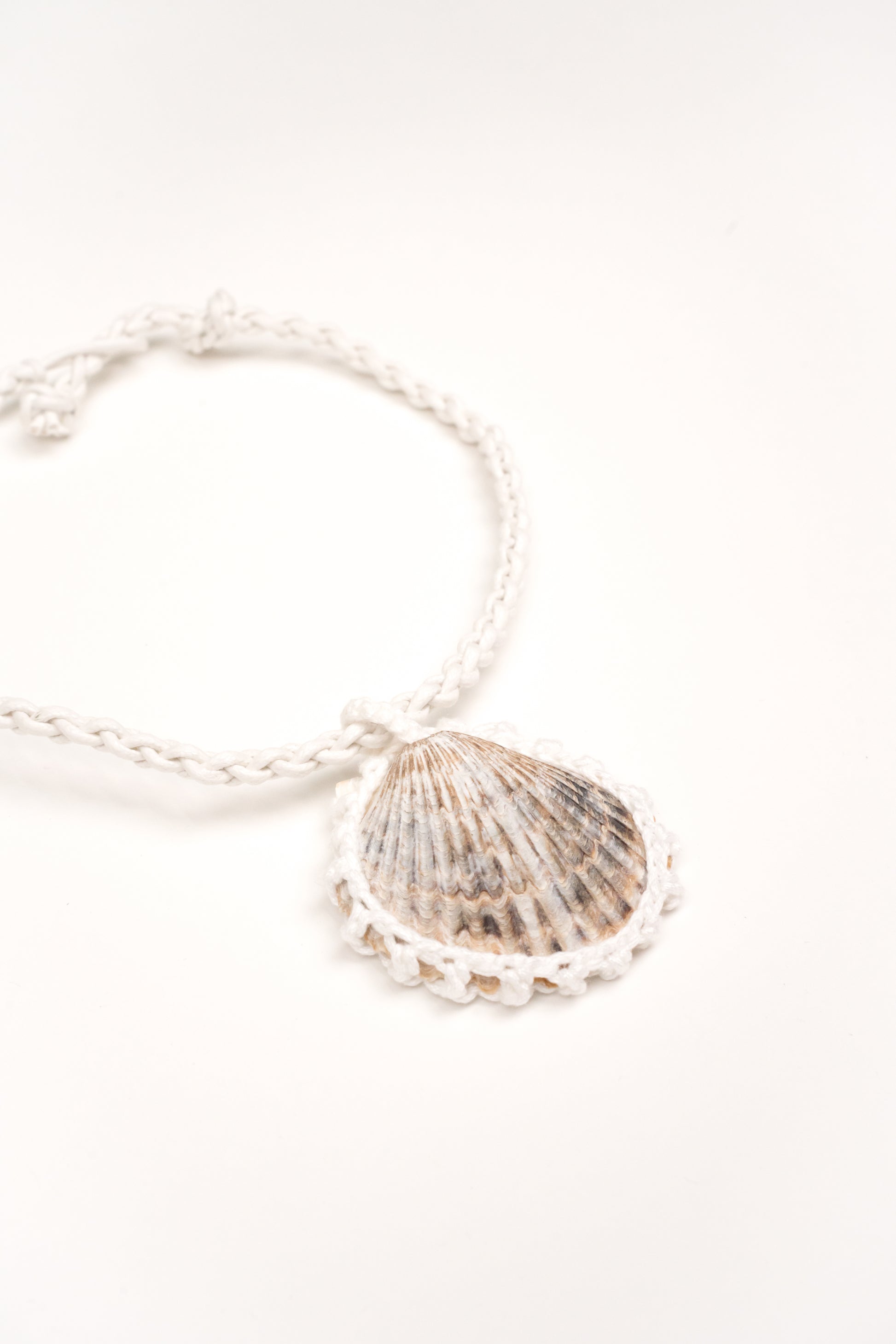 Collar Concha solitaria