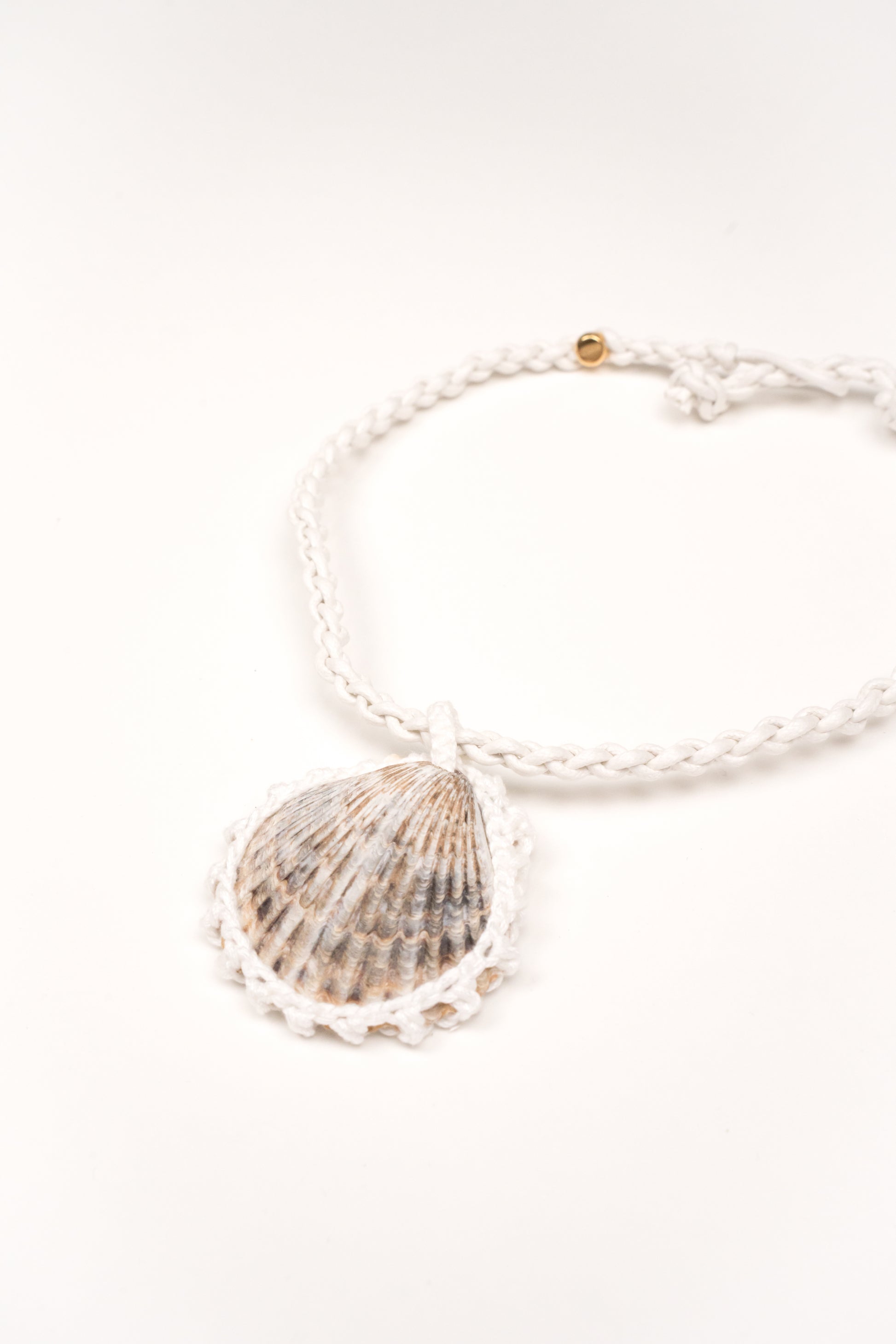 Collar Concha solitaria