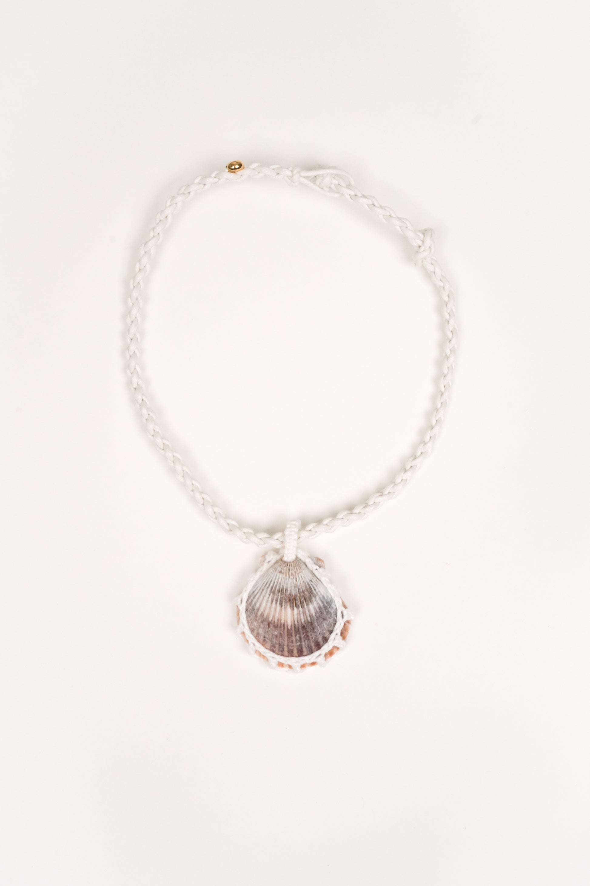 Collar Concha solitaria