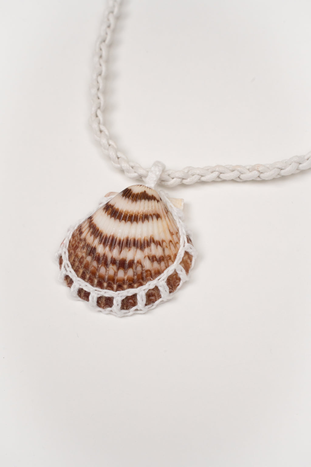 Collar Concha solitaria