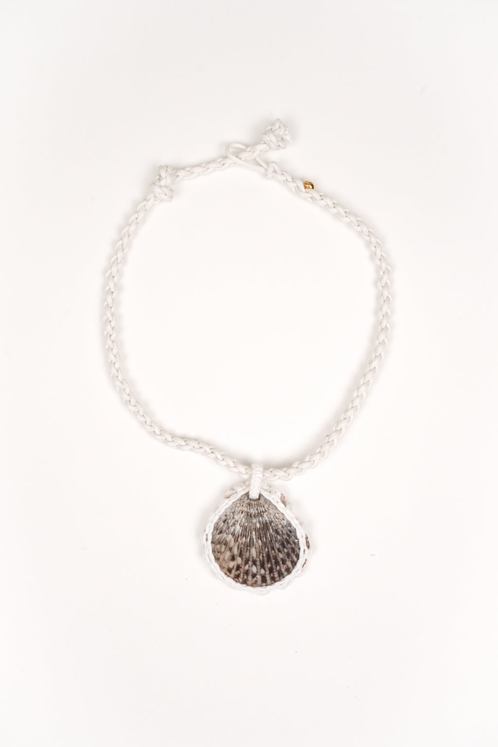 Collar Concha solitaria