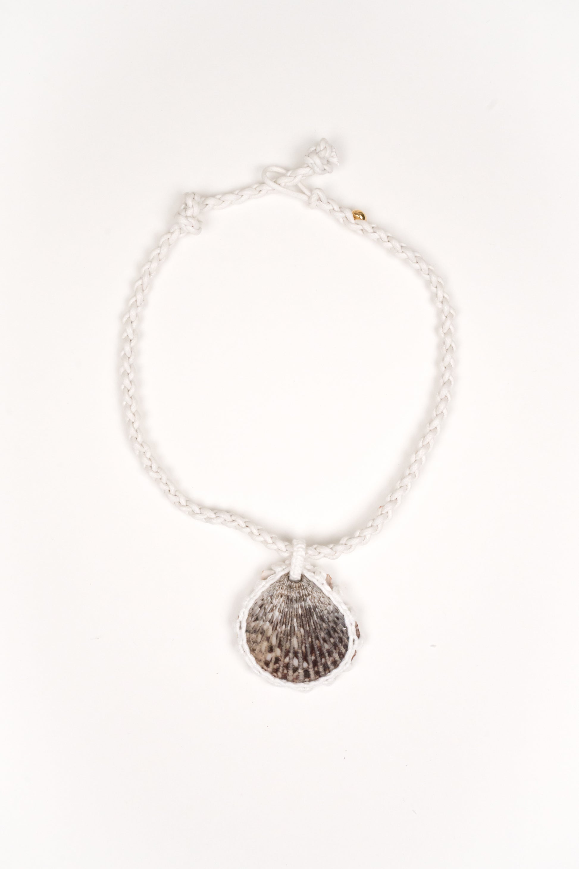 Collar Concha solitaria